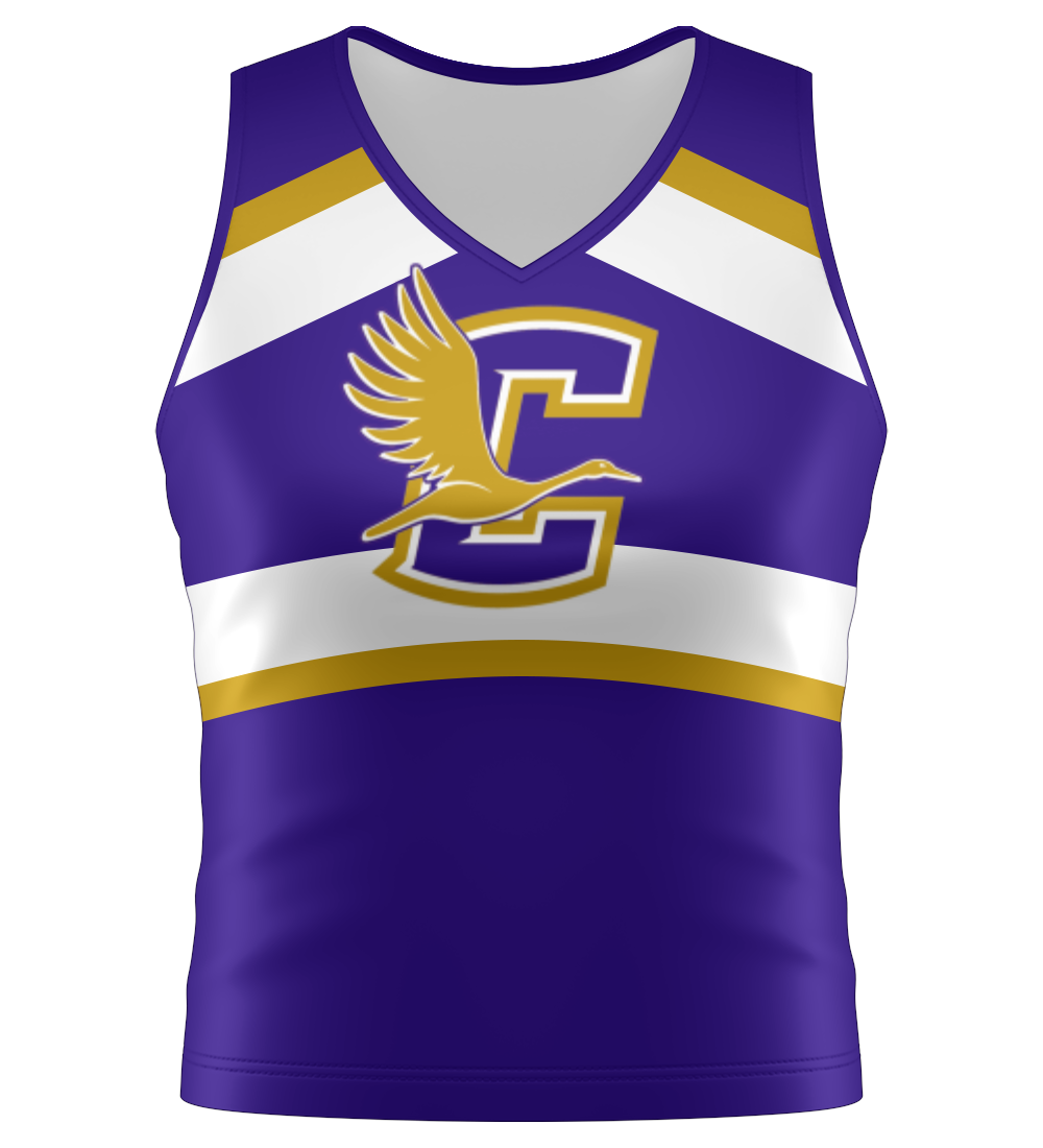 Cheer Uniform - Custom Team