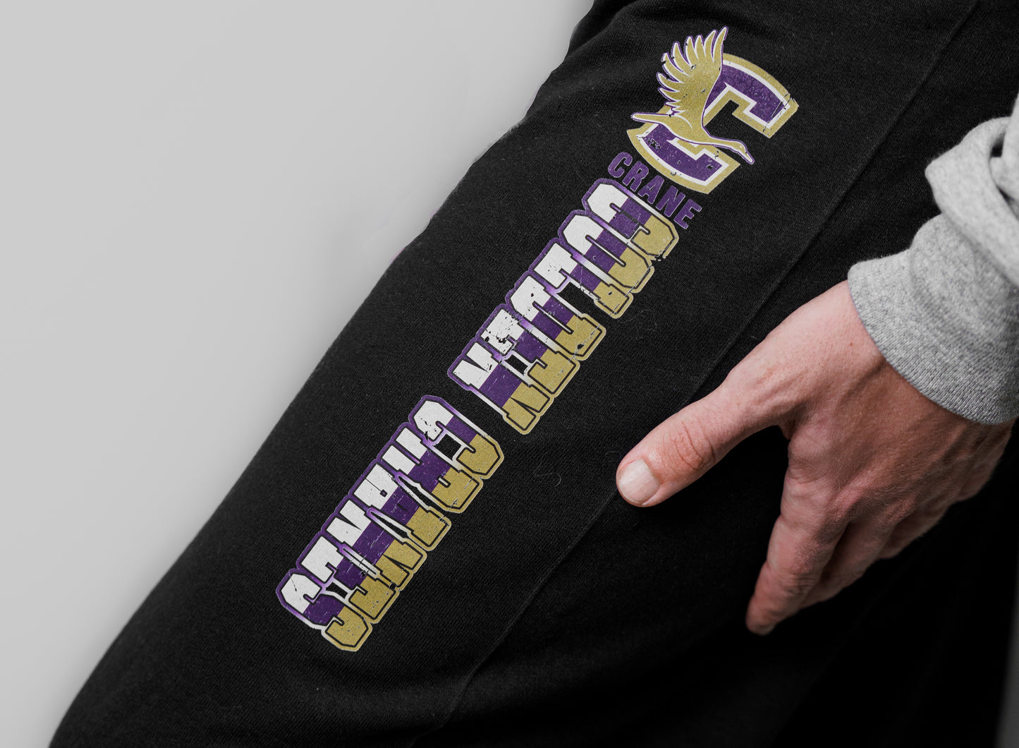 Custom Team AND Mascot Sweatsuit